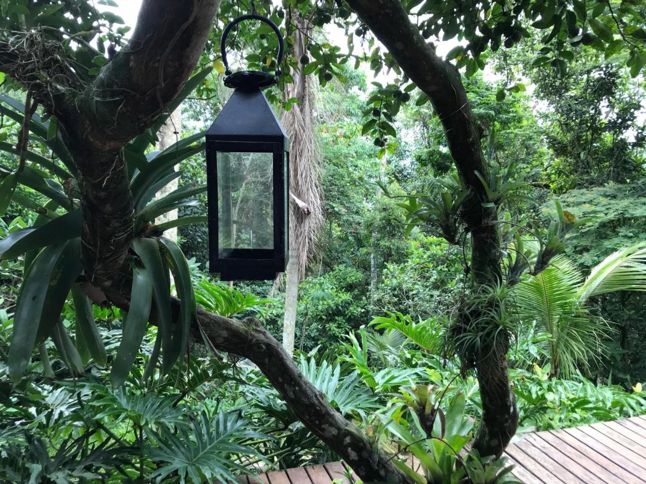 Pousada Rainforest House - Ilha Grande Exterior photo