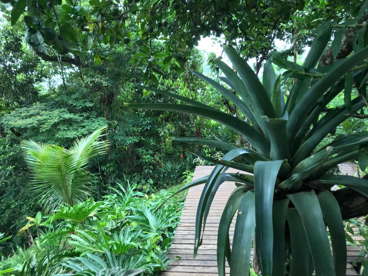Pousada Rainforest House - Ilha Grande Exterior photo