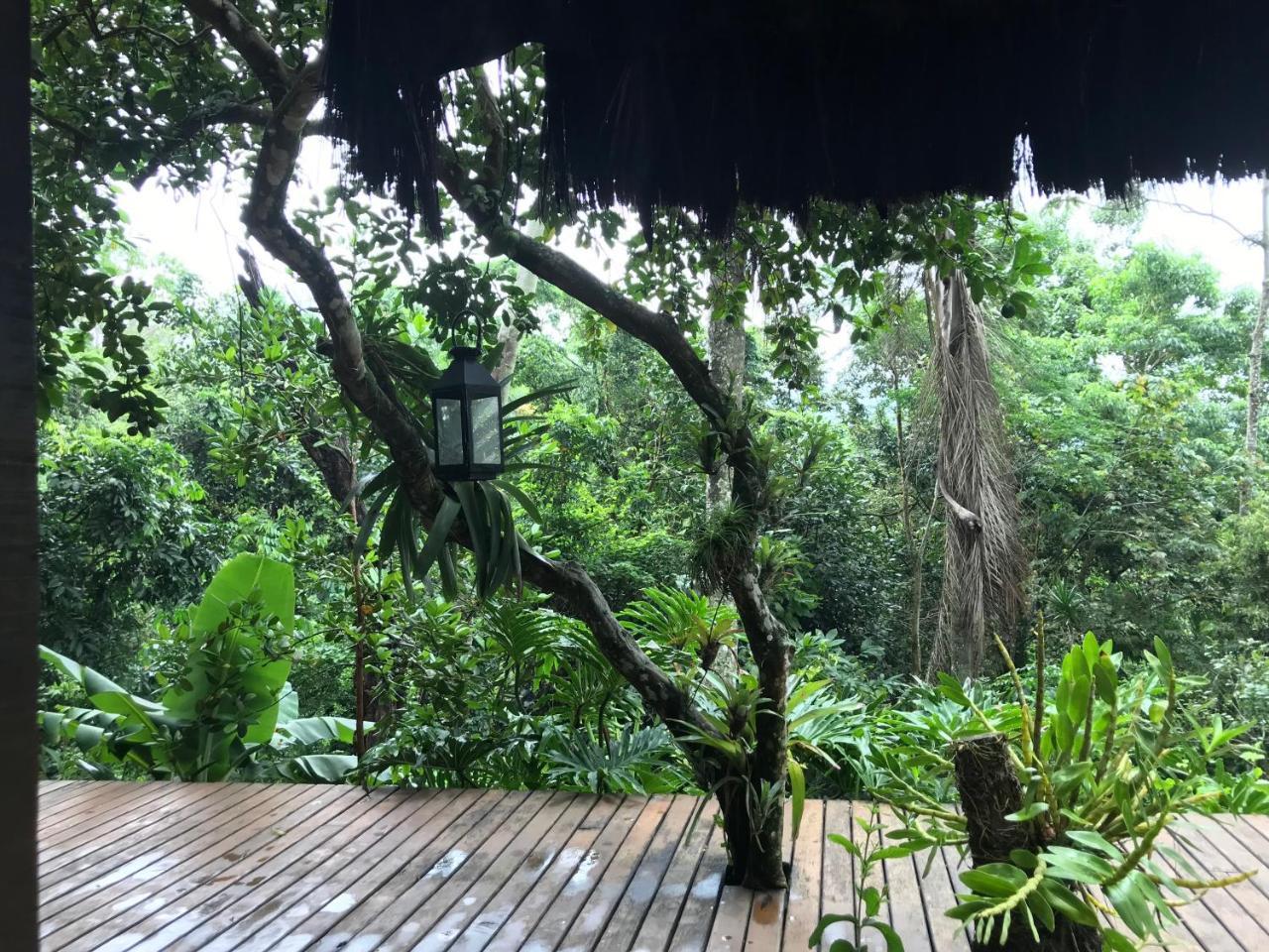 Pousada Rainforest House - Ilha Grande Exterior photo